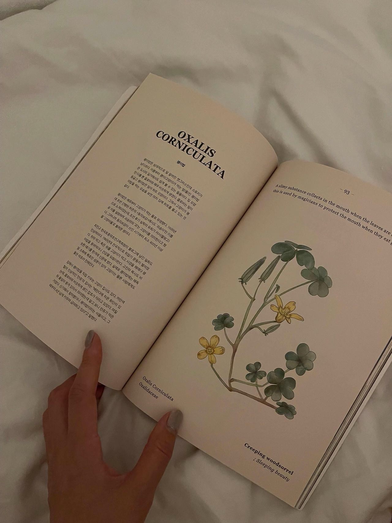 고양이와 괭이밥, 집사는 행복해