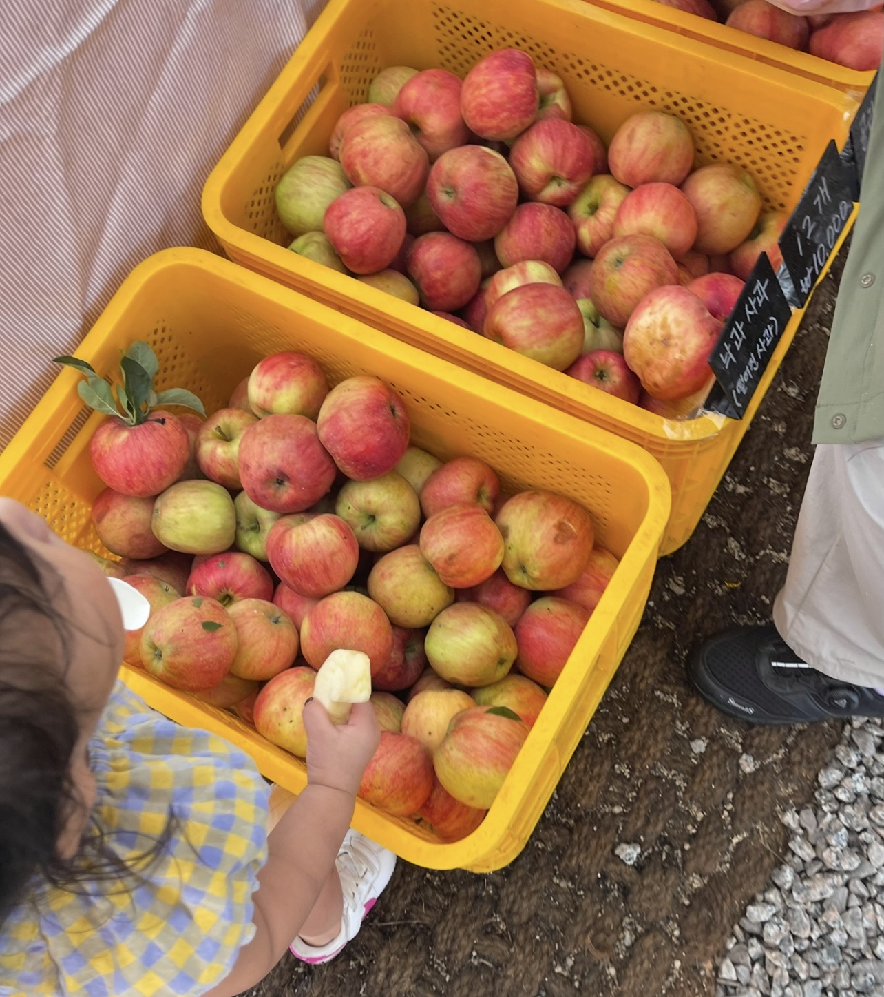 꼬마야 너는 언제까지 지렁이를 귀여워 할꺼야?